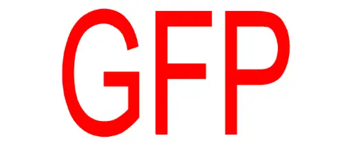 GFP